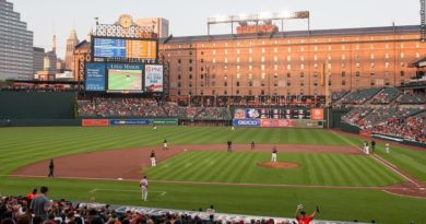 Oriole Park at Camden Yards, field