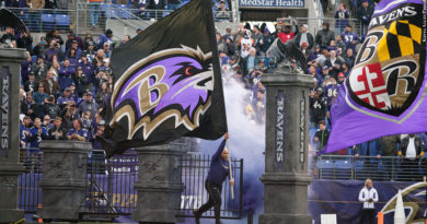 Ravens flag