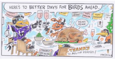 Ricig: here's to better days for birds ahead