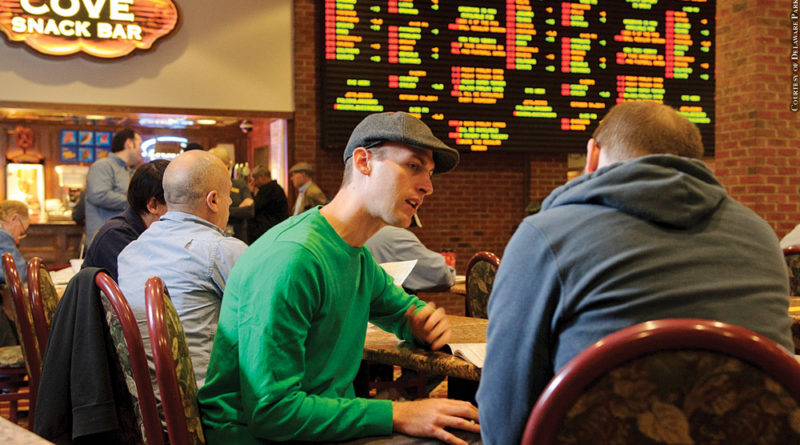 how to bet at a sportsbook