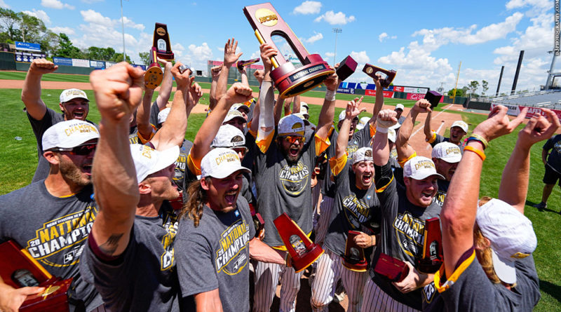 Salisbury baseball celebrating 2021 D-III national title