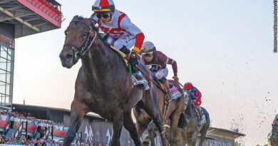2022 Preakness Stakes winner Early Voting
