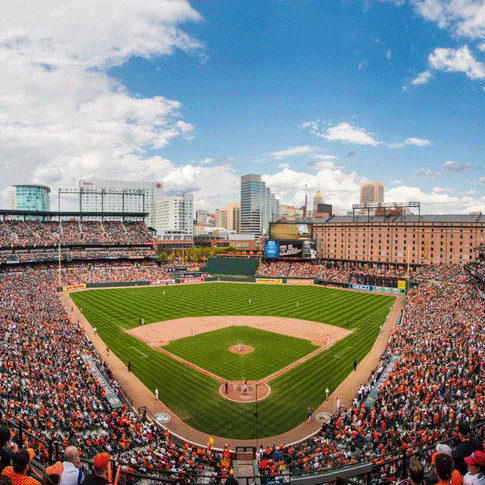 O Say Have You Seen Maryland