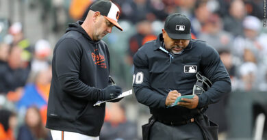 Brandon Hyde, umpire