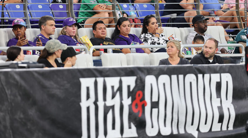 M&T Bank Stadium renovations