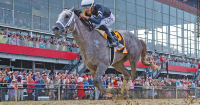 2024 Preakness winner Seize The Grey