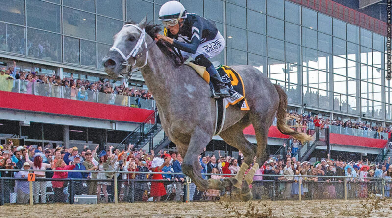 2024 Preakness winner Seize The Grey