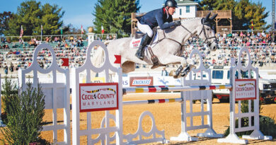 2024 Maryland 5 Star winner Oliver Townend