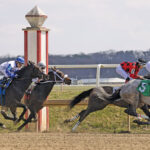 Why Are Kentucky Derby Winners Skipping The Preakness Stakes?