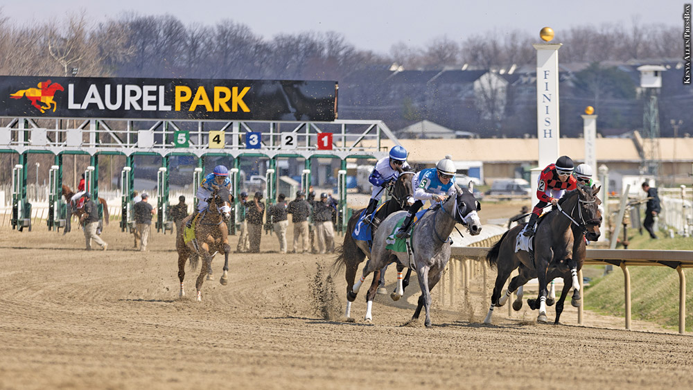 Laurel Park