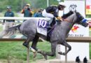 Napoleon Solo Trainer Chad Summers On Winning Preakness At Laurel Park And More