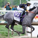 Napoleon Solo Trainer Chad Summers On Winning Preakness At Laurel Park And More