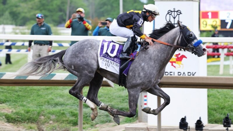 Preakness: Napoleon Solo Napoleon Solo