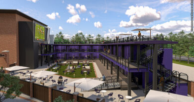 Flockyard rendering