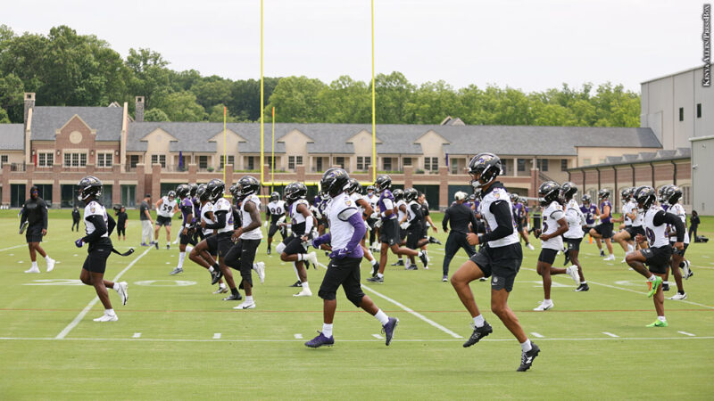Ravens minicamp Ravens minicamp